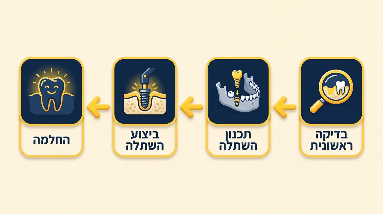 אינפוגרפיקה בעברית המציגה את שלבי השתלת השיניים