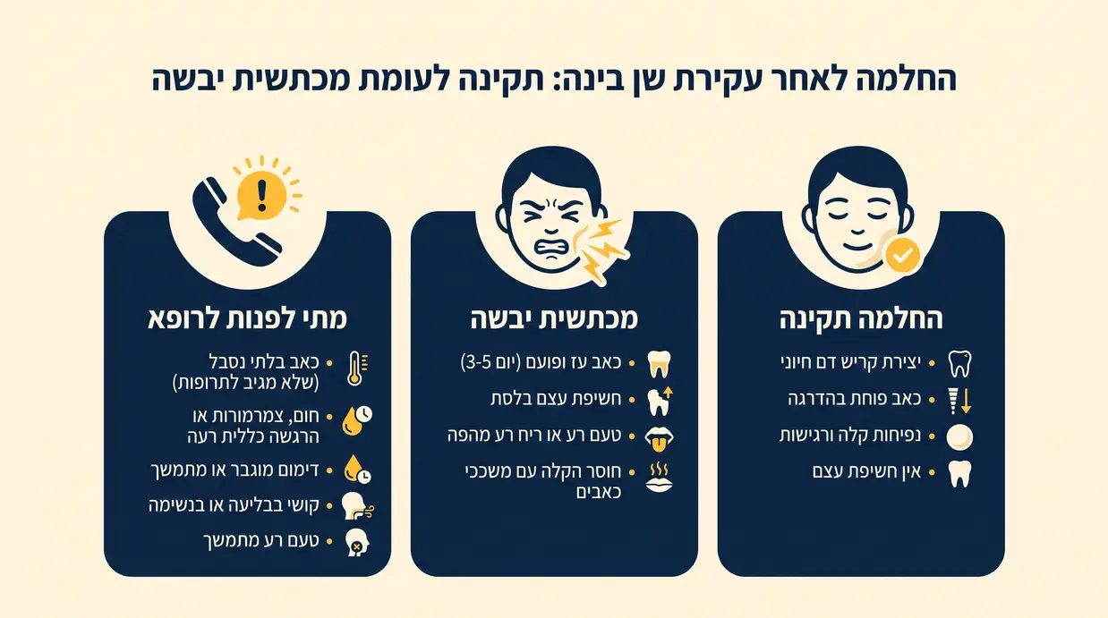 אינפוגרפיקה בעברית המשווה בין החלמה תקינה אחרי עקירת שן בינה לבין מכתשית יבשה וסימני אזהרה