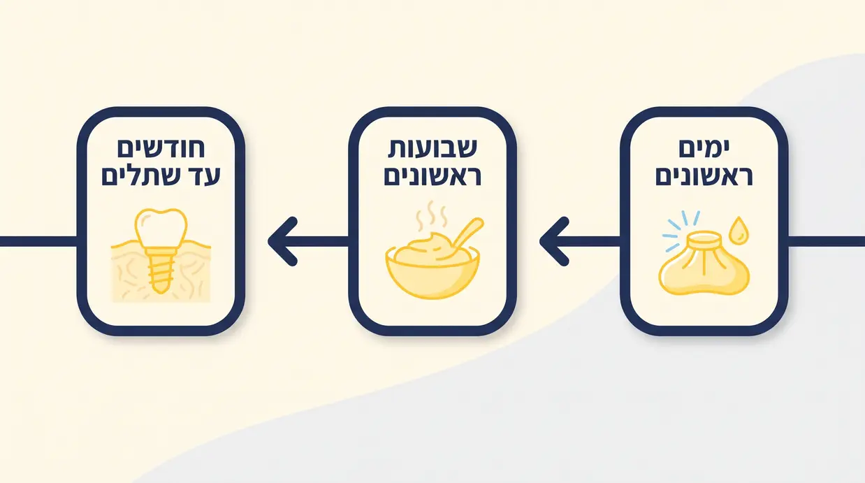 אינפוגרפיקה בעברית המציגה את שלבי ההחלמה לאחר השתלת עצם בלסת לאורך ציר זמן