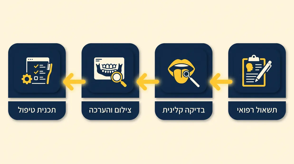 תרשים בעברית המציג את שלבי הבדיקה אצל מומחה לרפואת הפה