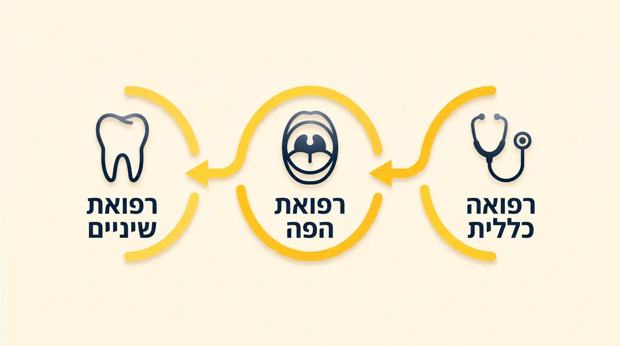 תרשים בעברית המציג את רפואת הפה כגשר בין רפואה כללית לרפואת שיניים