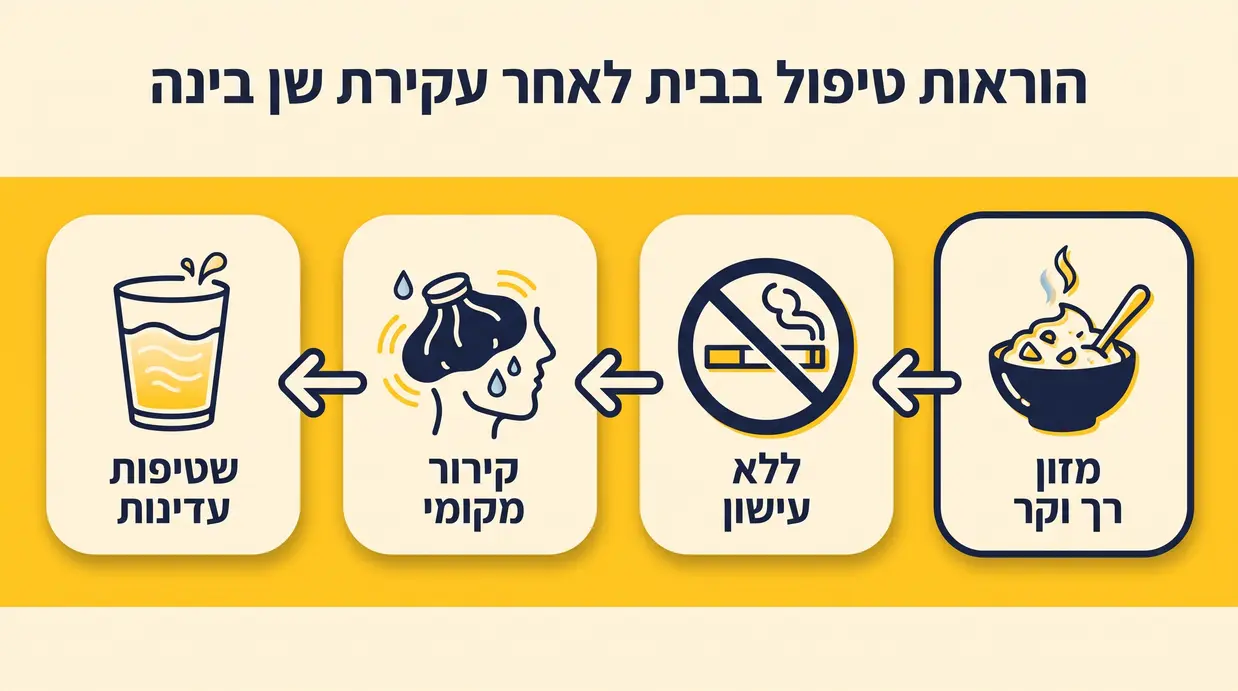 אינפוגרפיקה בעברית עם אייקונים לכללי החלמה מעקירת שן בינה: מזון רך, ללא עישון, קירור ושטיפות עדינות